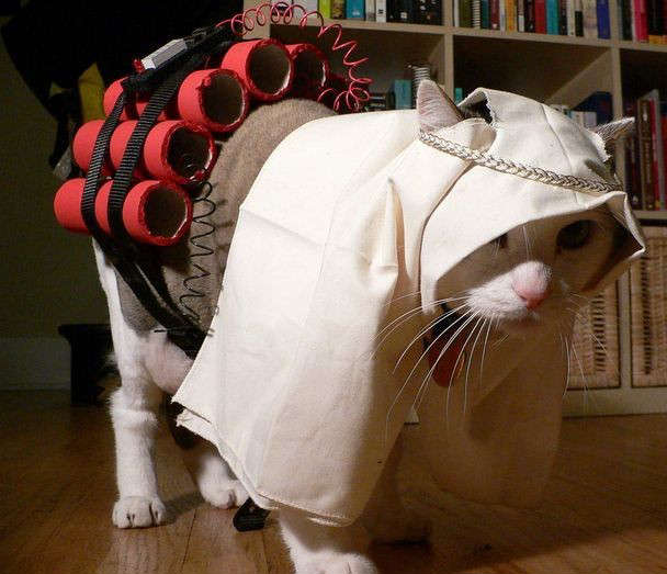 funny pictures.com. Cute amp; Funny Pet Costumes