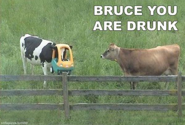 bruce-is-drunk.jpg