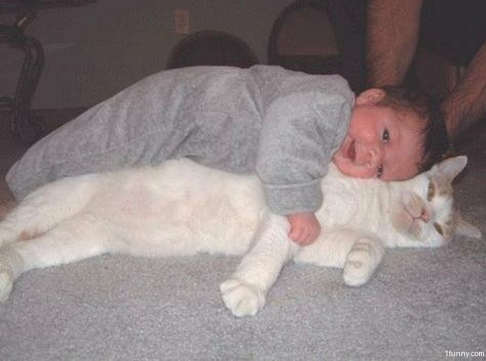 BABY HUGS CAT