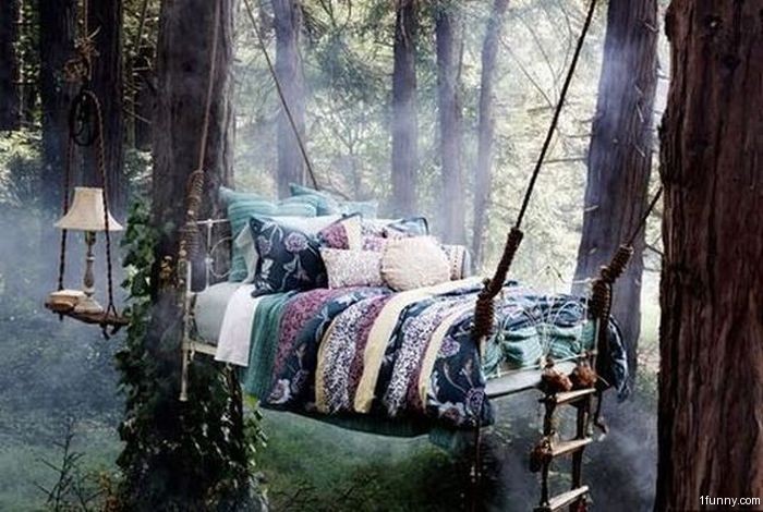 tree-house-bed.jpg