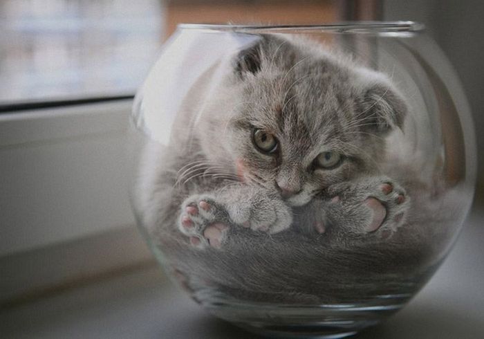 in a bowl