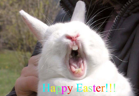 happy easter bunny images. Happy Easter Bunny