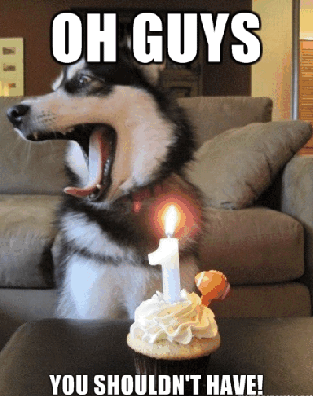 birthday jokes funny. Posted by admin in Funny
