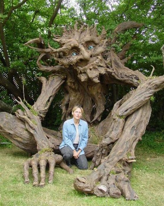 Pictures Of The Tree Man 113
