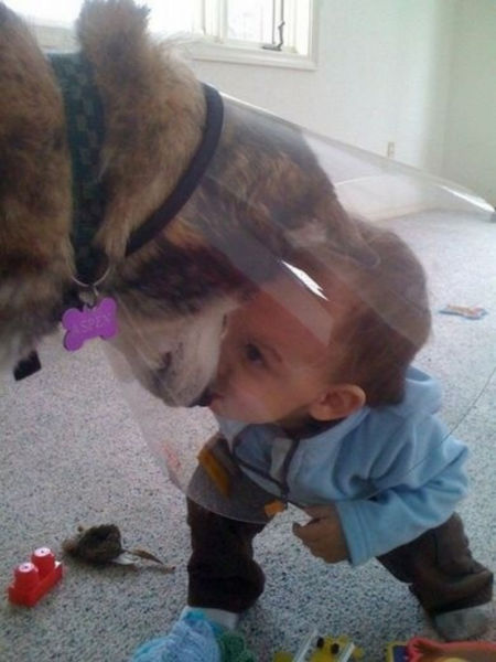 dogs_are_kids_best_buddies_too_640_04