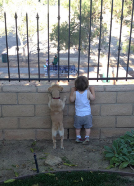 dogs_are_kids_best_buddies_too_640_14