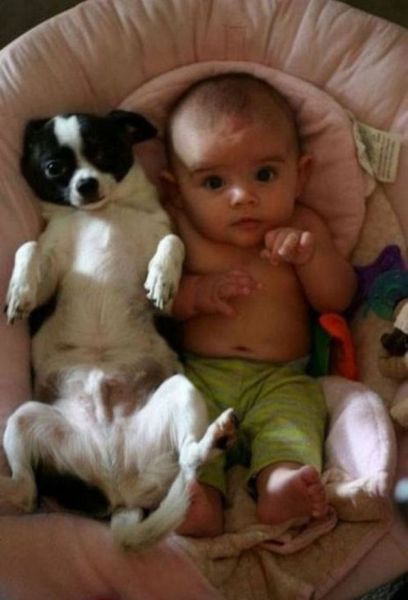 dogs_are_kids_best_buddies_too_640_28