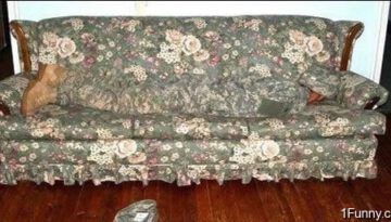 camo-couch