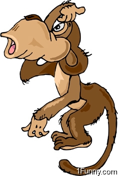 confused-monkey
