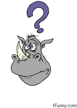 curious-rhino