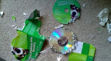 dog-training-dvd