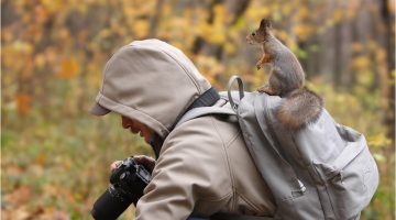 sneaky-squirrel