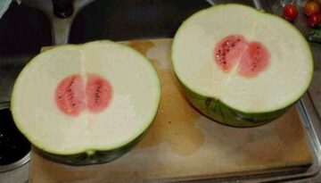 bad-watermelon