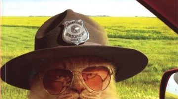 cat_sheriff