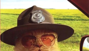 cat_sheriff