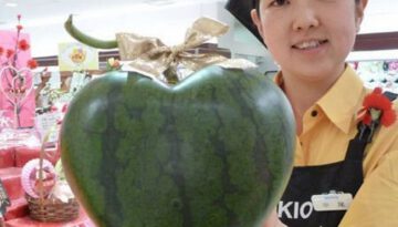 heart-shaped-watermelon