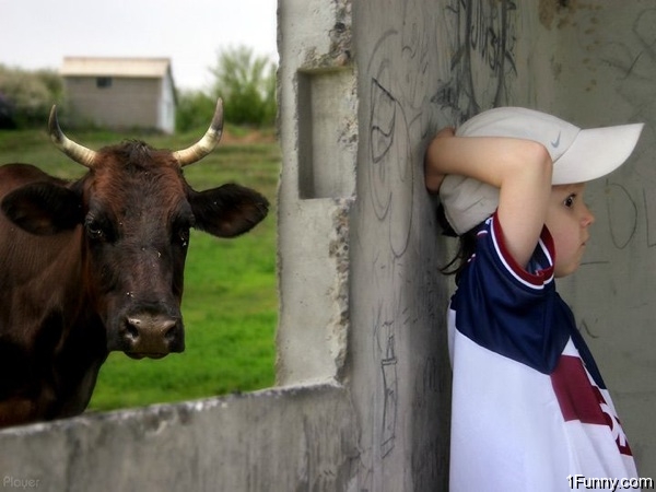 hiding-from-the-cow
