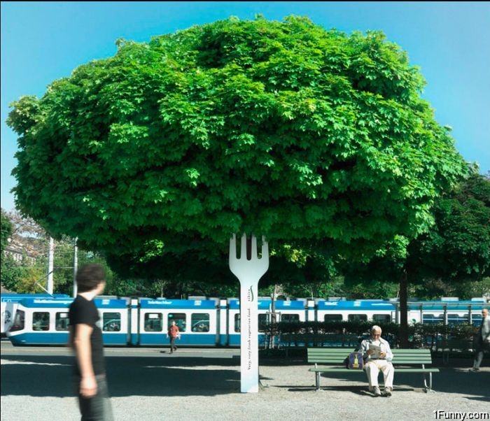 salad-tree