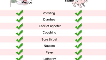 swine-flu-diagram