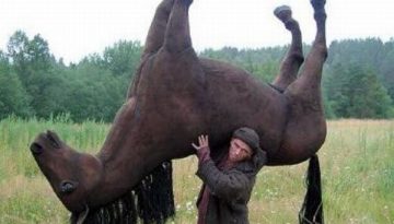 lift-a-horse