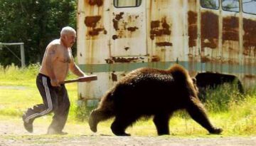 man-vs-bear