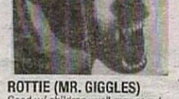 mr-giggles