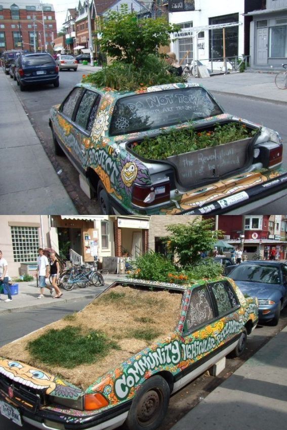 car-garden