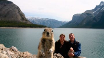 squirrel-photo-bomb