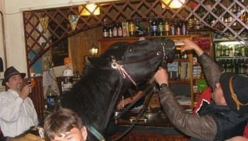 bar-horse