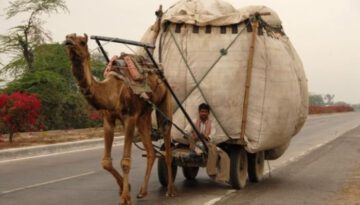 camel-cargo