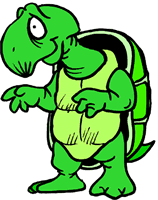 turtle_2