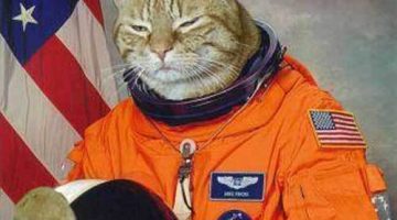 Catstronaut_500x500