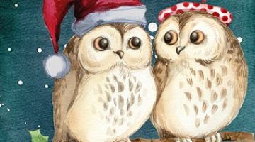 christmas-owls