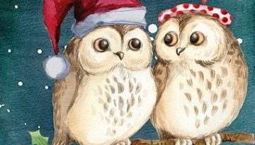 christmas-owls