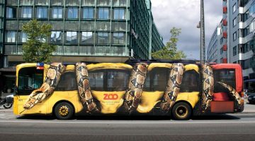 Zoo_Bus