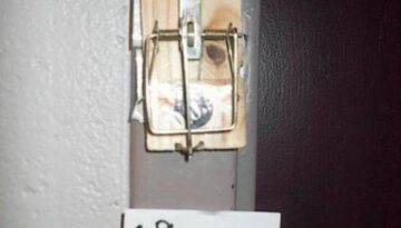 door-bell-trap