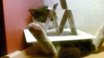 sleeping-cat-card-pyramid