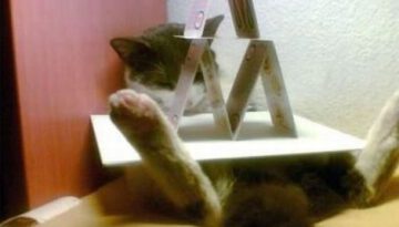 sleeping-cat-card-pyramid