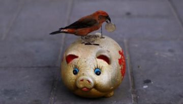 bird-piggy-bank