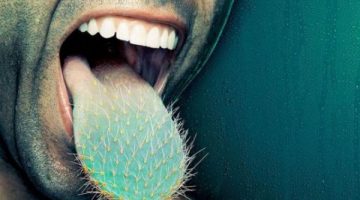 cactus-tongue