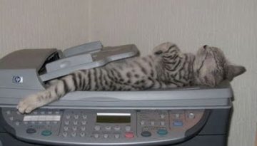 CatScan