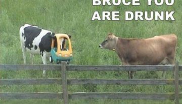 bruce-is-drunk