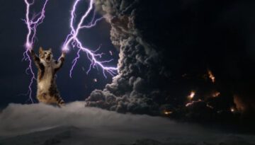 thunder-cat