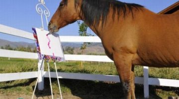 horse-painting