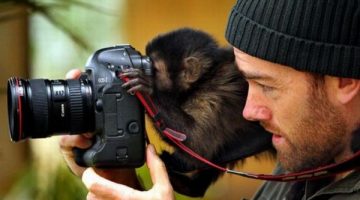 monkey-photographer