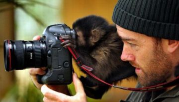 monkey-photographer