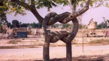 pretzel-tree