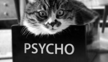 psycho-cat