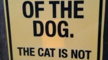 beware-of-the-dog-and-cat