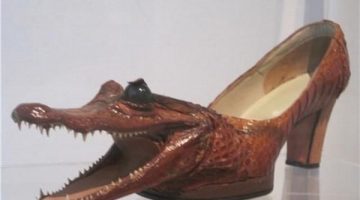 gator-shoes